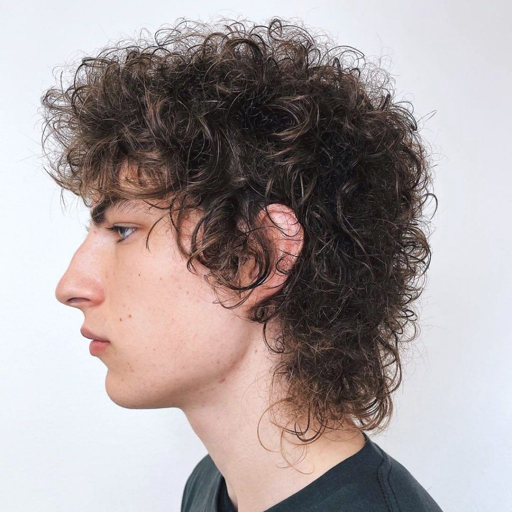 Bob Dylan curly shag haircut men