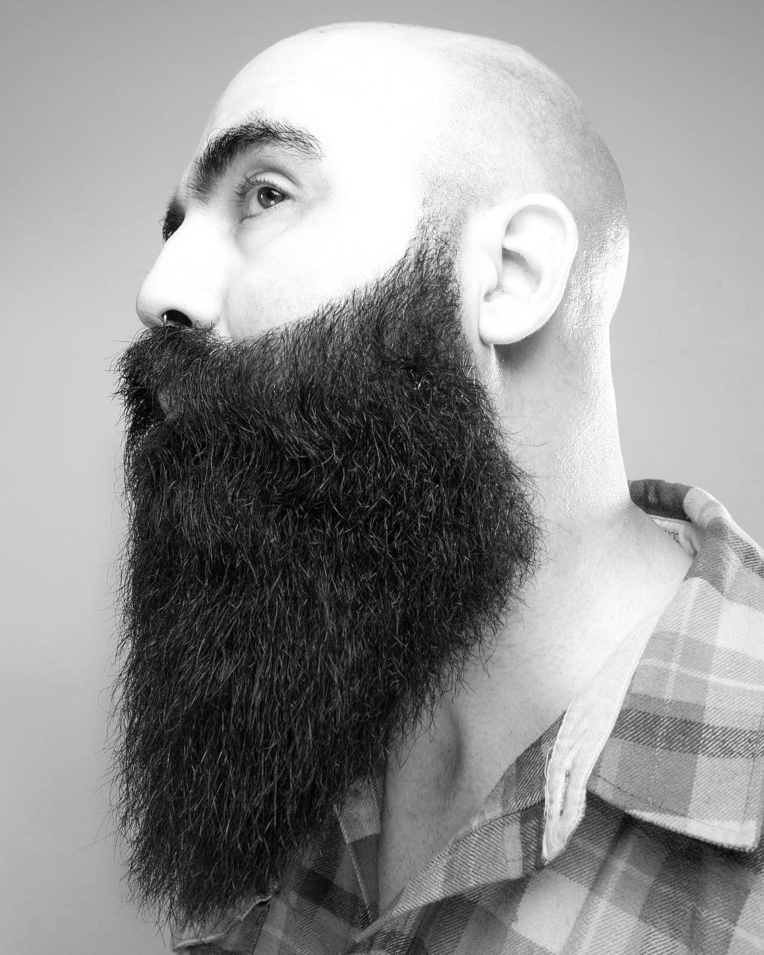 Bald head with very long beard