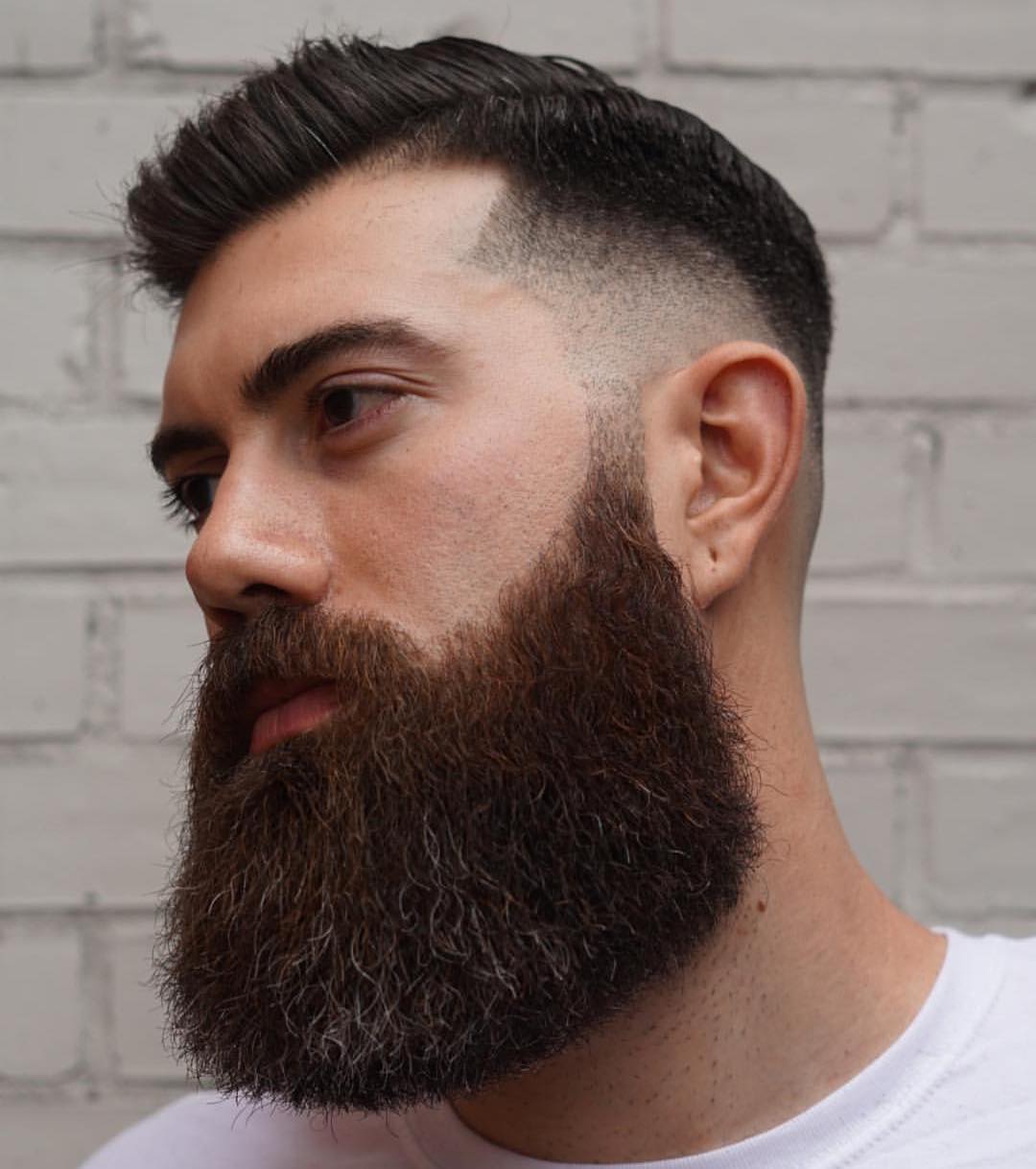 Rounded Beard