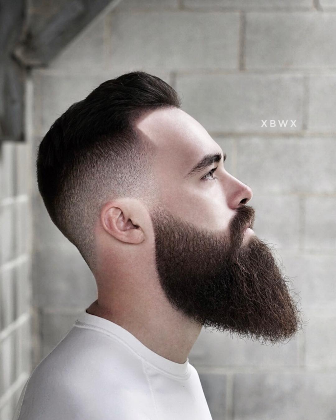 Shaped Beard